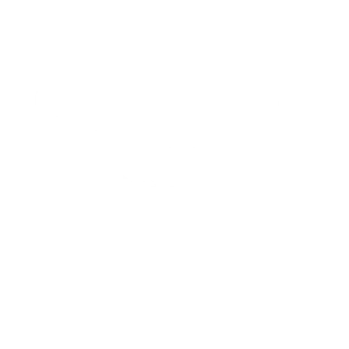 Icône représentant un appareil photo, idéale pour illustrer un service de photographie professionnelle. Icon showing a camera, perfect to illustrate a professional photography service.